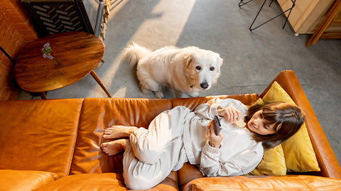 A Teenage Girl Lying on A Modern, Walnut Brown, Three Seats, Top-Grain Premium Leather Contemporary Sofa With Dog