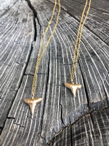 Foxy Fossils Gold Shark Tooth Necklace