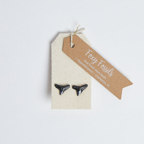 Shark tooth earring studs