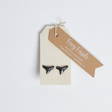 Natural Shark Tooth Stud Earrings