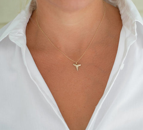 Drop of Gold Real Shark Tooth Necklace