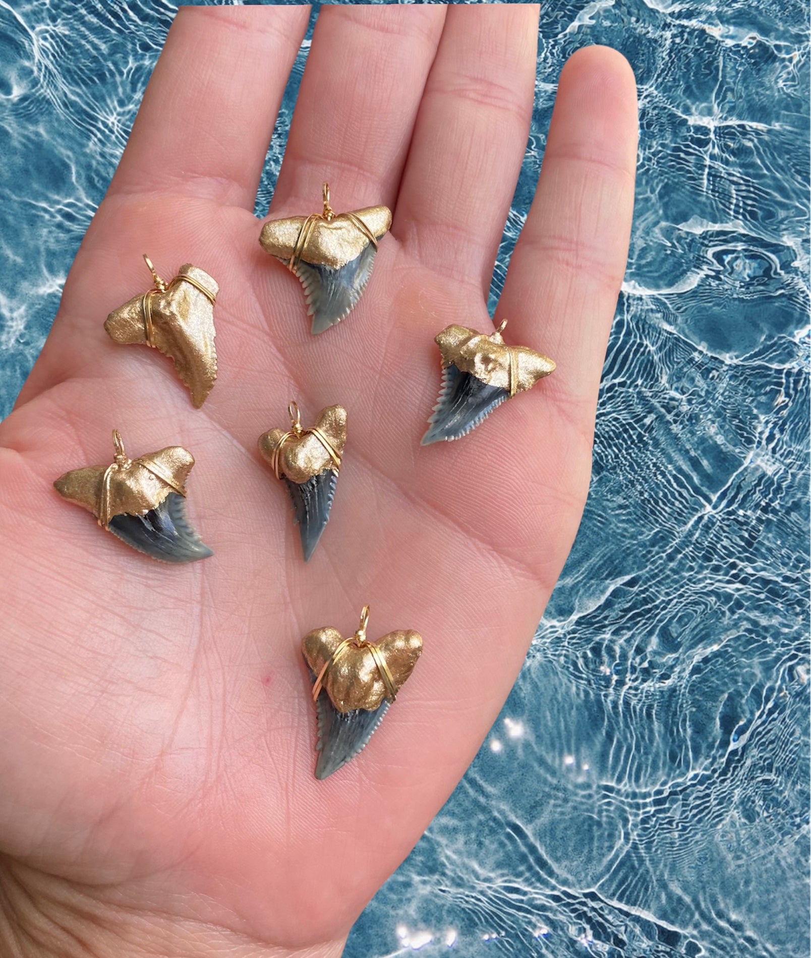 Shark Tooth Necklace — Hemipristis Serra Fossil Tooth | Foxy Fossils