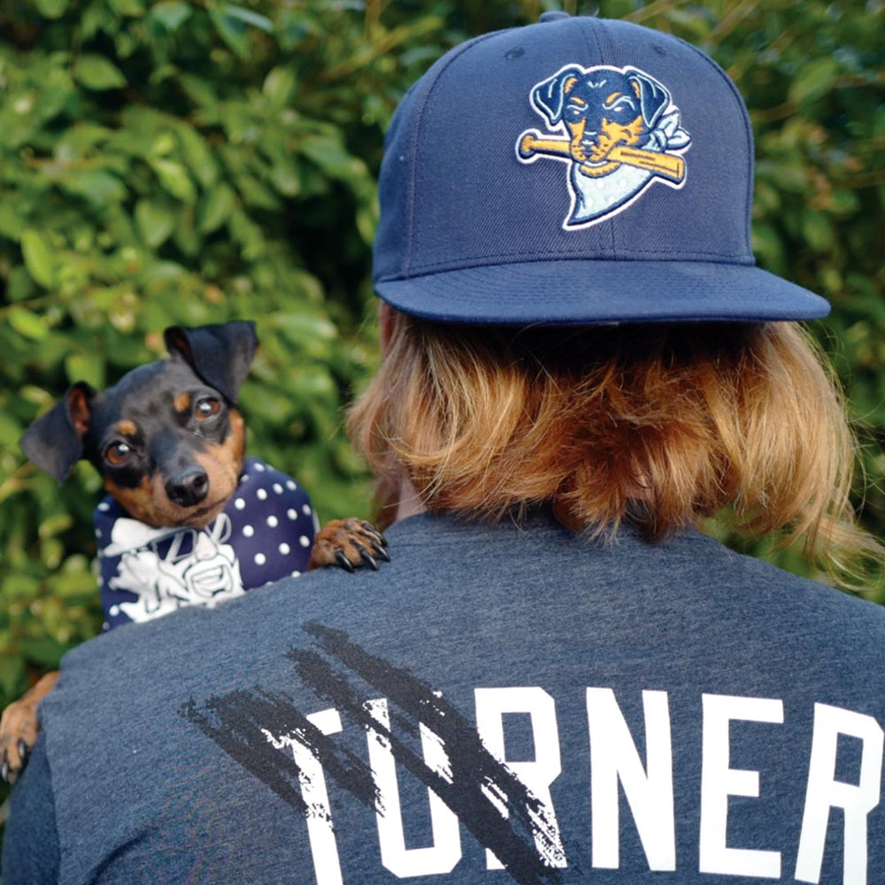 justin turner pine tar jersey