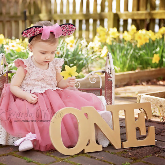 One Sign Photo Prop for First Birthday Photo Shoot for Babies - Wooden  Number Sign Photographer, Number