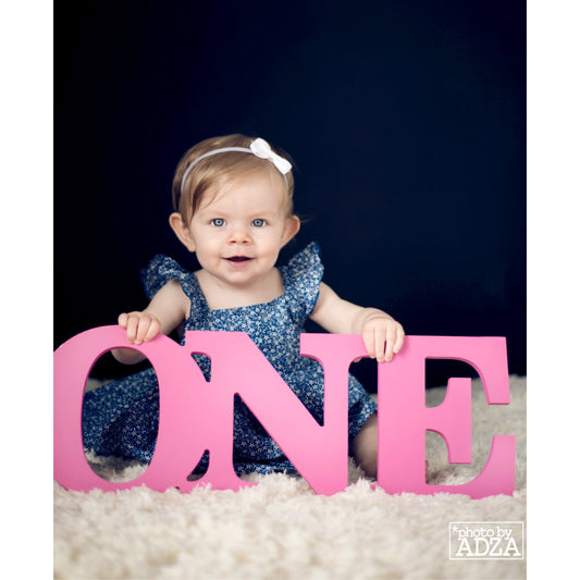 One Sign Photo Prop for First Birthday Photo Shoot for Babies - Wooden  Number Sign Photographer, Number