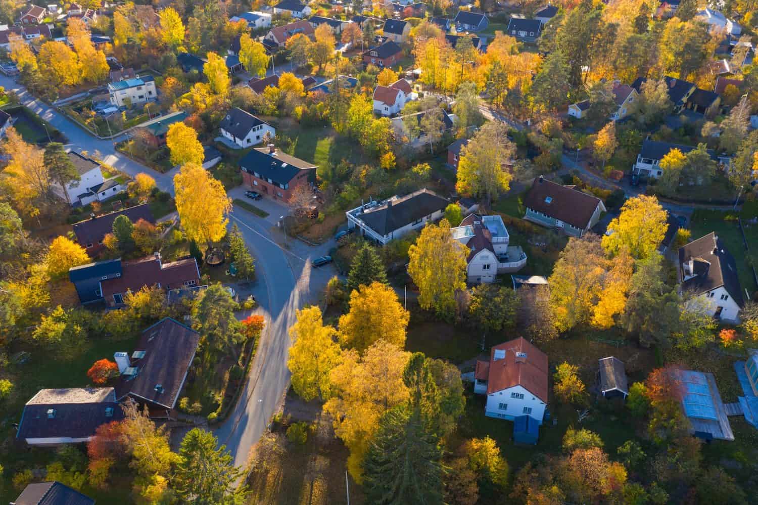 A community with trees