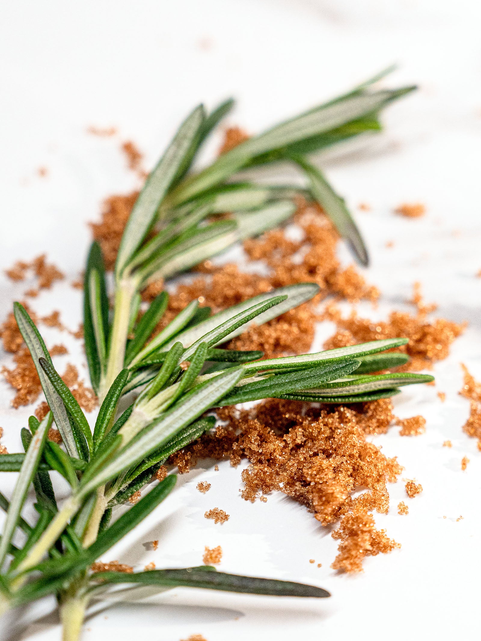 A sprig of rosemary atop a scattering of brown sugar