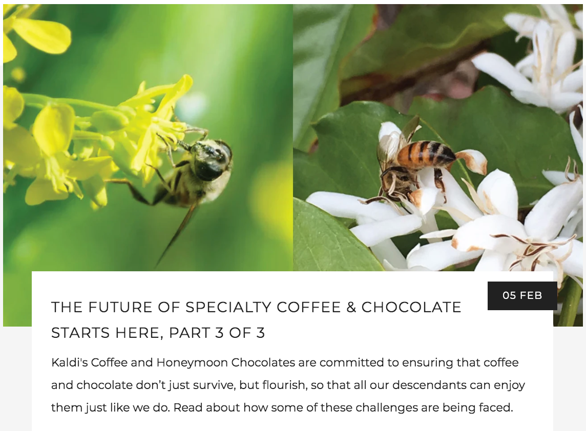 The Future of Specialty Coffee and Chocolate | Kaldi's Coffee Blog