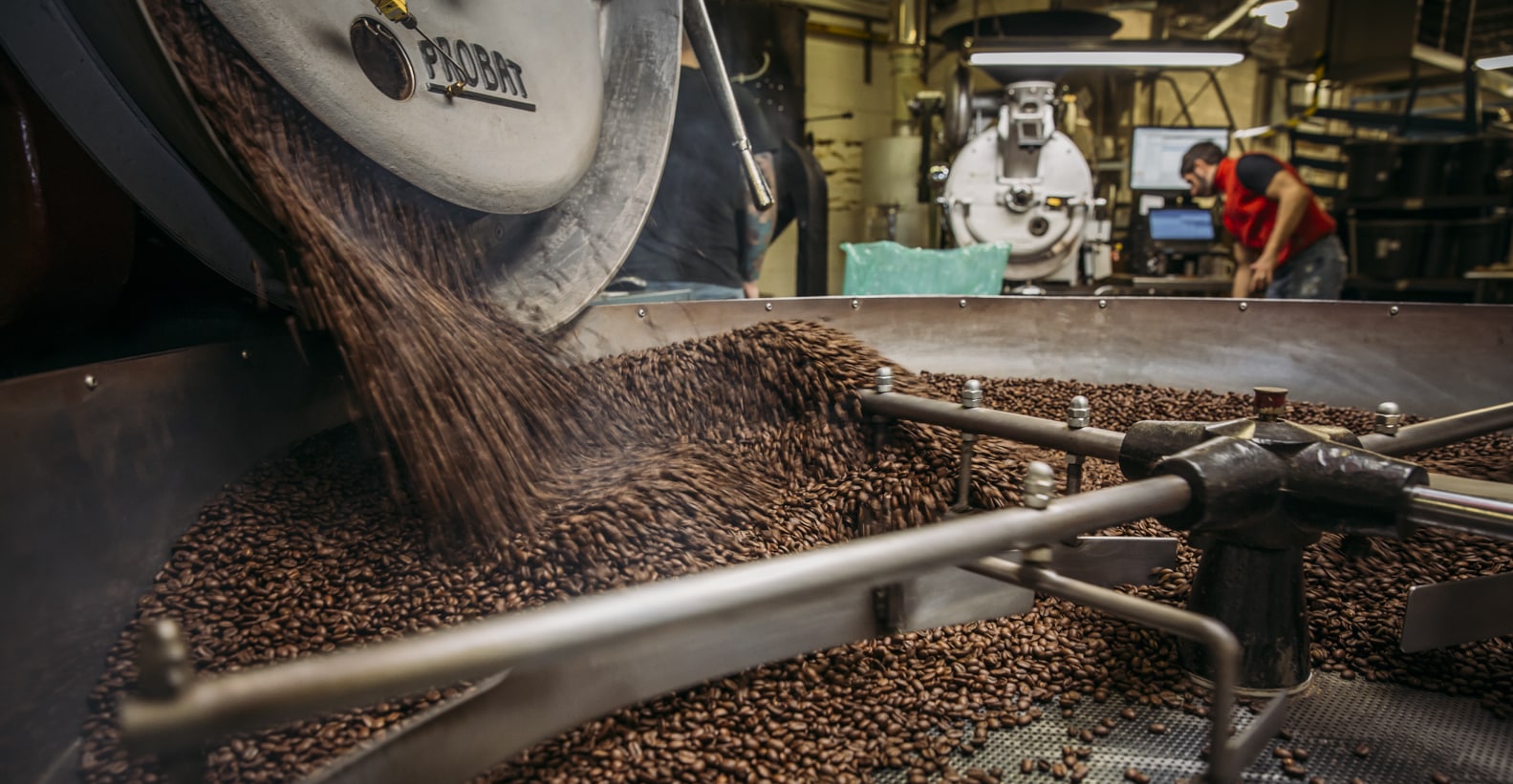 Roasted coffee coming out of our vintage Probat Coffee Roaster