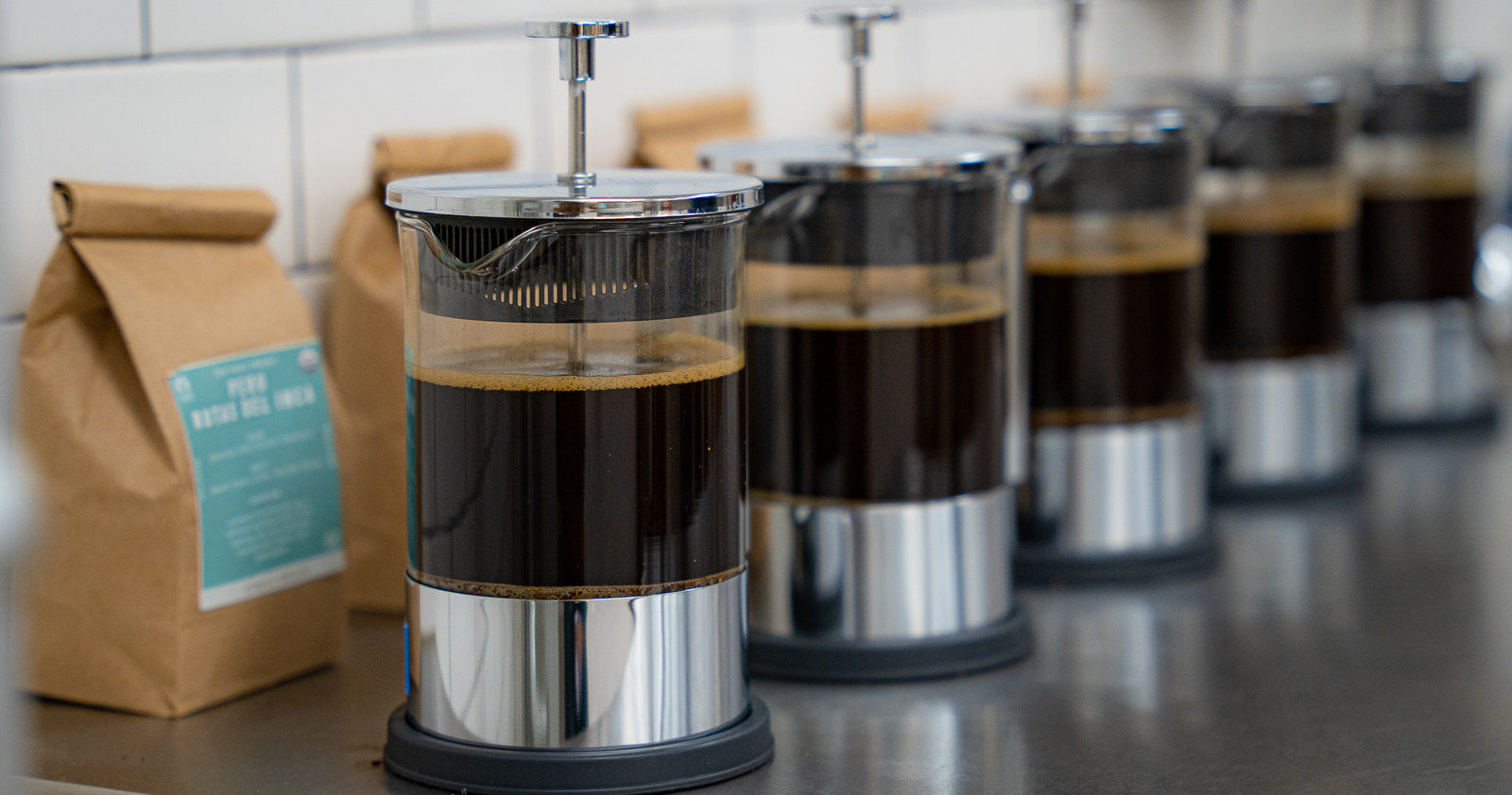French Presses lined up brewing cold brew coffee