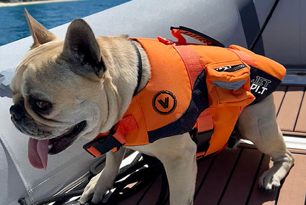 Dog Life Jacket - Perfect Christmas Present for any dog owner