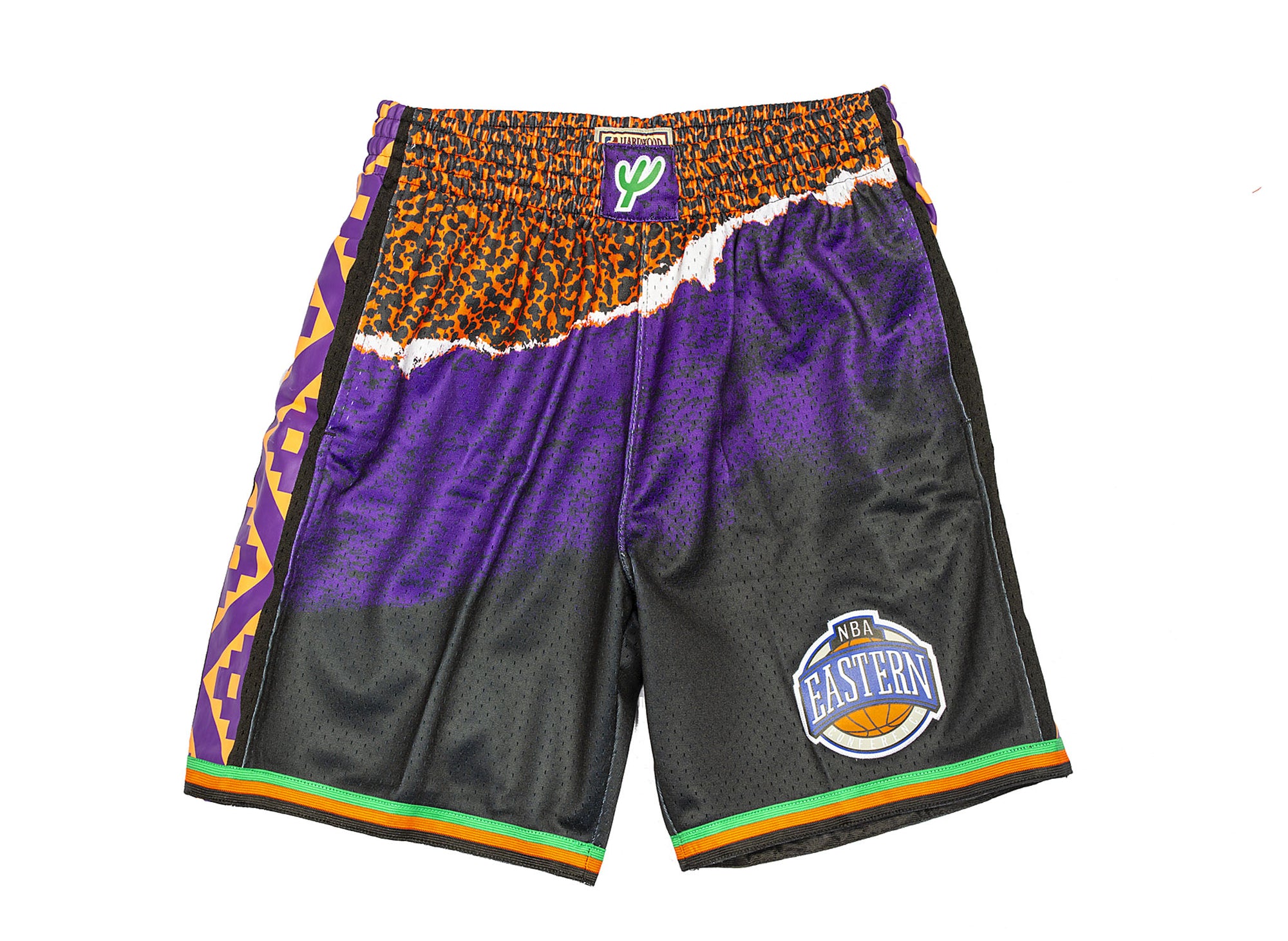 mitchell & ness nba shorts