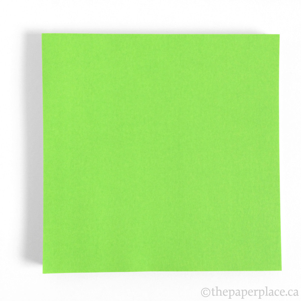 15cm Single Colour Apple Green - 100 Sheets – The Paper Place