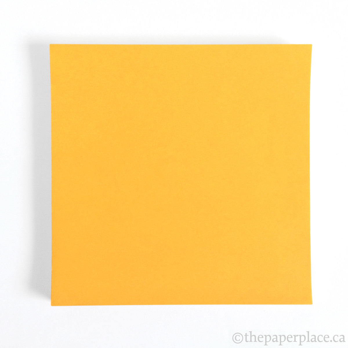 15cm Single Colour Dark Yellow - 100 Sheets – The Paper Place
