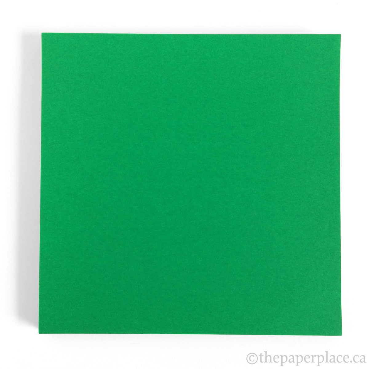 15cm Single Colour Green - 100 Sheets – The Paper Place