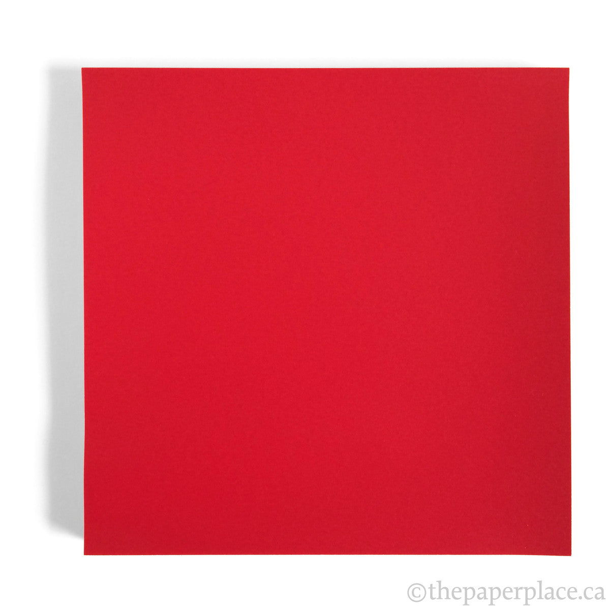 15cm Single Colour Rose Red - 100 Sheets – The Paper Place