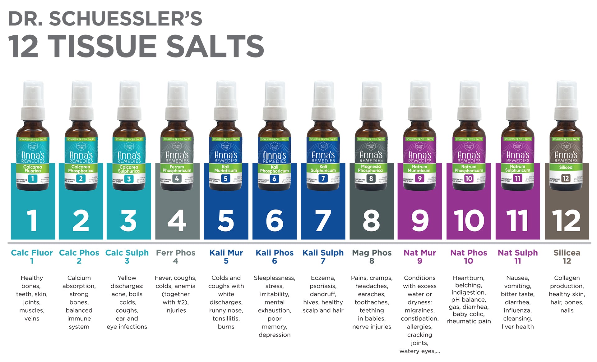 Cell Salts 101 Chart by AnnaKare