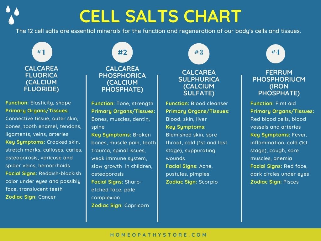 Cell Salts Chart - Homeopathy Store