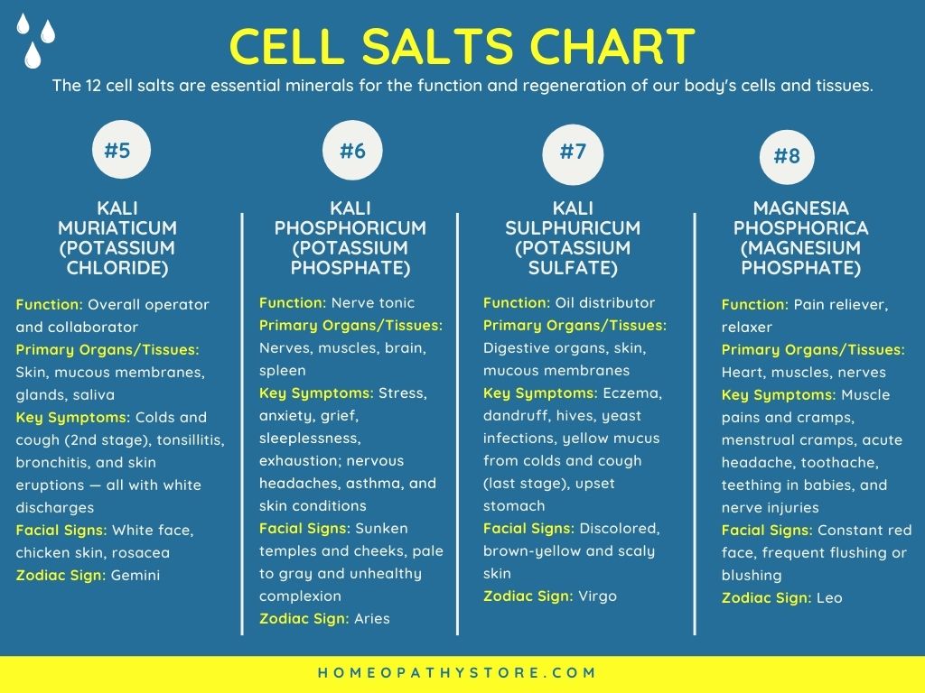 Cell Salts Chart - Homeopathy Store