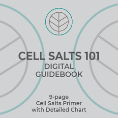 Cell Salts 101 Digital Guidebook