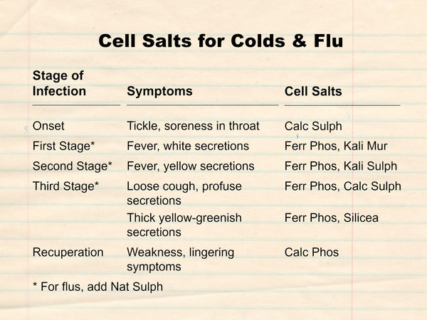 Cell Salts For Colds Flu With Handy Chart Homeopathystore Com