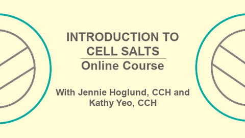 Introduction to Cell Salts Online Course by AnnaKare
