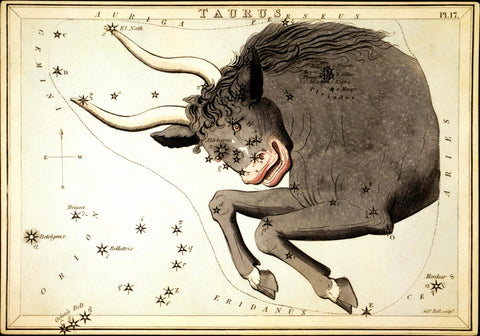 Zodiac sign Taurus and its image in the night sky as a constelllation