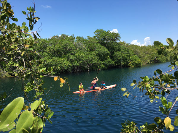 Cenote en Tulum