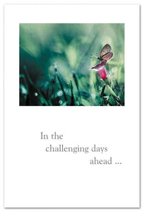 Cards-Condolence "In the challenging days ahead..."