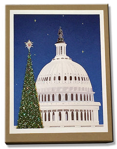 National Christmas tree and Capital Building in D.C. 