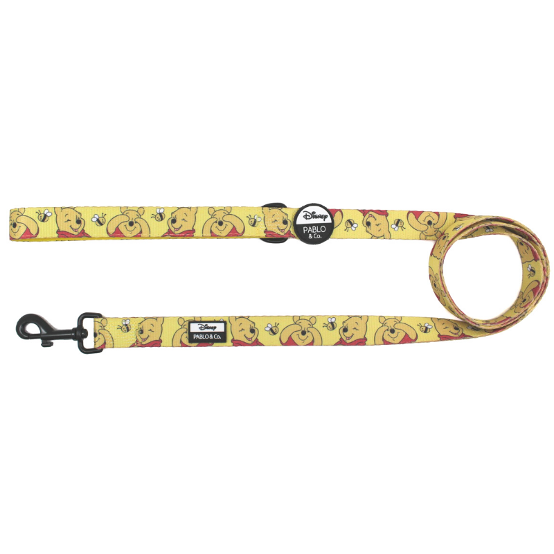 disney dog leash and collar