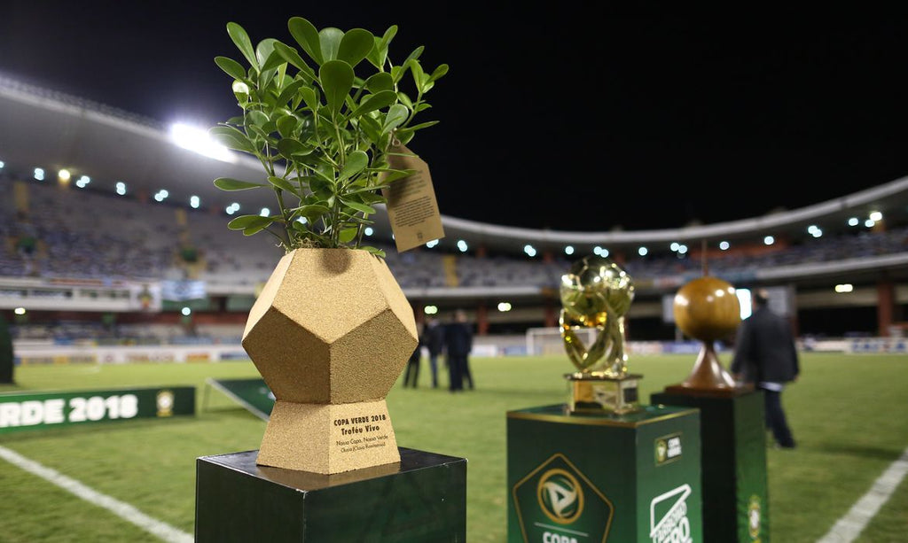 Troféu Vivo Copa Verde CBF