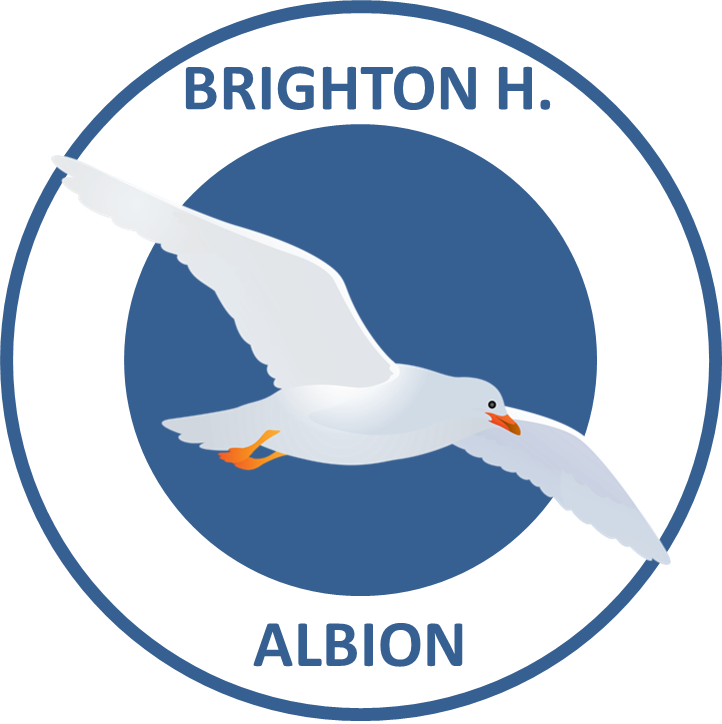 Medium Brighton & Hove Albion Football Shirts / Seagulls Jersey