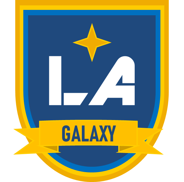 LA Galaxy Vintage Clothing