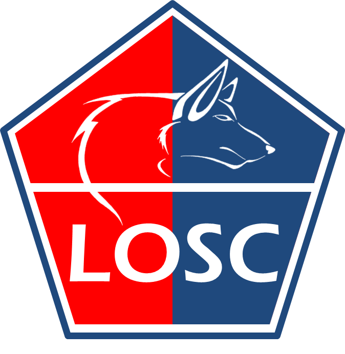 Old Lille OSC Football Shirts / Official Vintage Ligue Soccer Jerseys