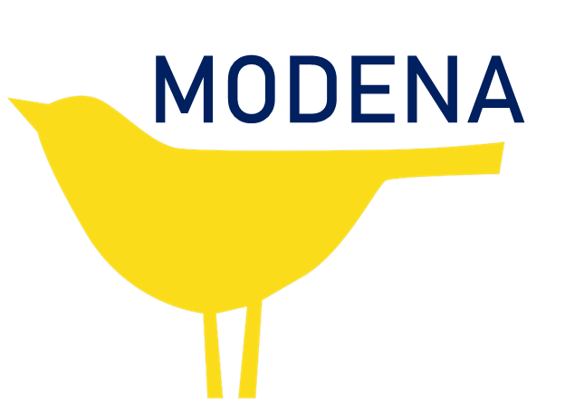 Modena, Italy, June 2022, Modena Football Club 2018 yellow flag