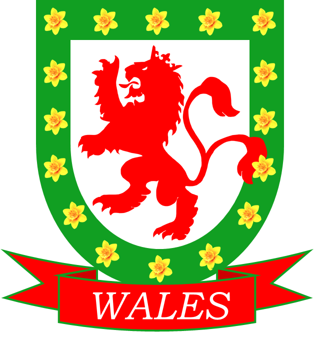 Old Original Wales Football Shirts Official Vintage Soccer Jerseys Classic Football Shirts