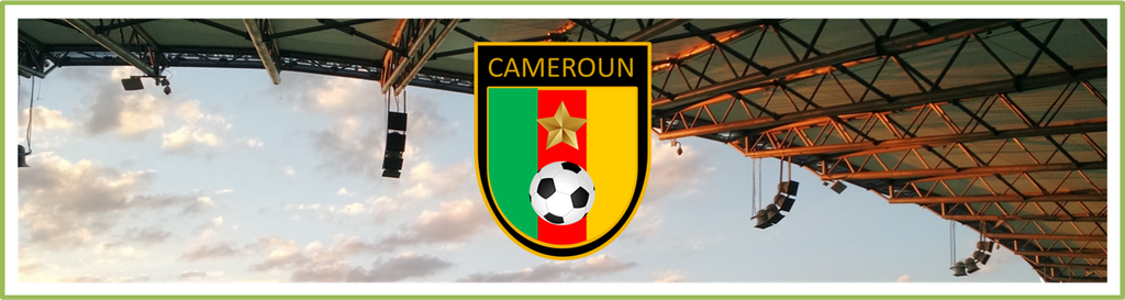 Cameroon Goalkeeper Shirt - Classic Football Shirts