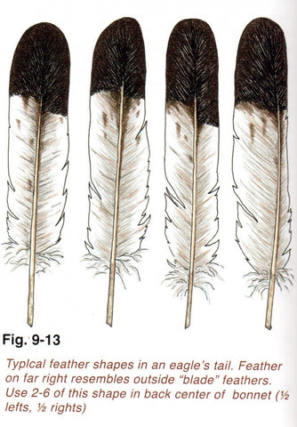 Eagle Plumes and Fluffs  Eagle, Feather art, Hair pieces