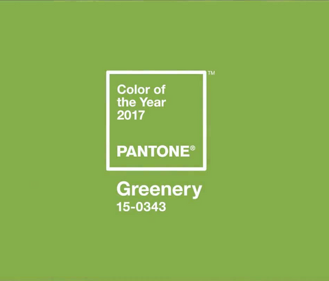 Pantone 2017 color of the year
