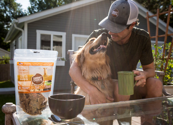 Chicken Dog Treats for National Dog Day 