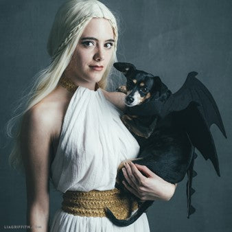 House of dragon dog costume idea