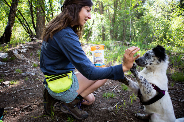 Smart Cookie Rabbit Jerky Training Treats with Puppy