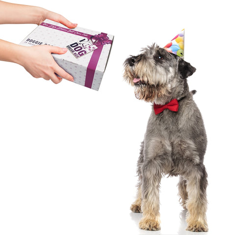 Dog Birthday gift box