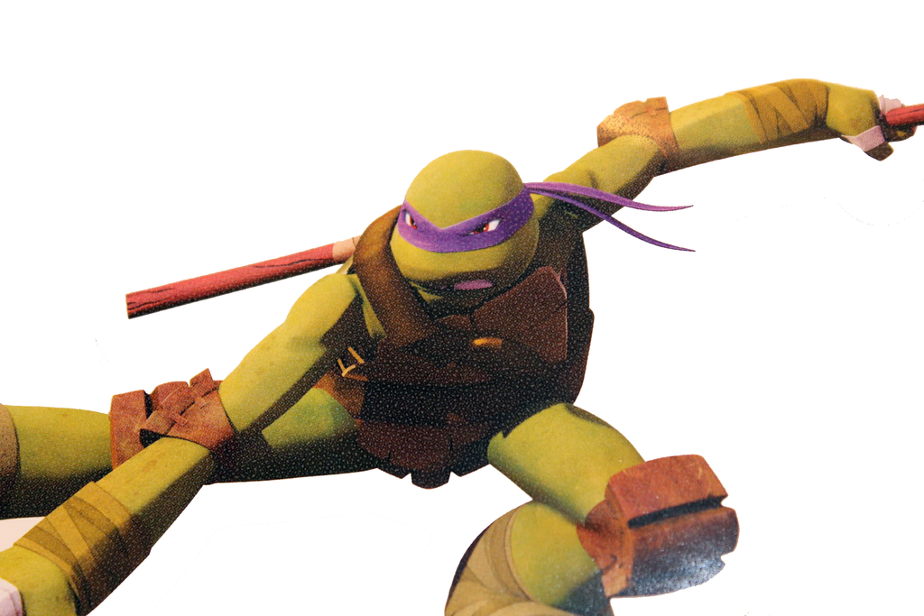 Teenage Mutant Ninja Turtles: Book Label Stickers - Funstra