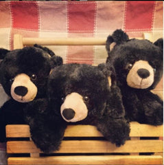 Stuff your own teddy bears black bear picnic