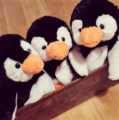 Penguin teddy bears