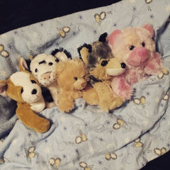 Assortment of stuff your own teddy bears napping