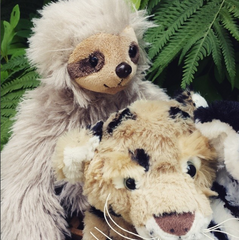 Sloth Teddy Bear Kit
