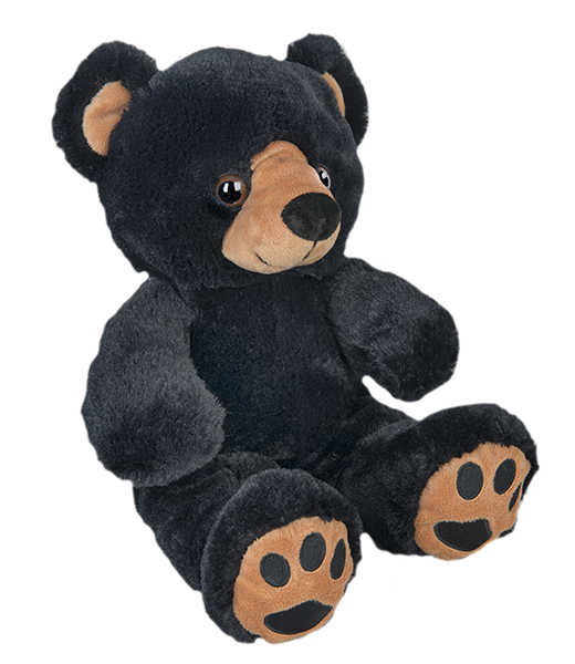 small black teddy bear